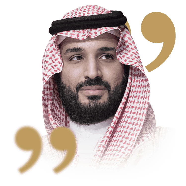 His Royal Highness Prince Mohammed bin Salman